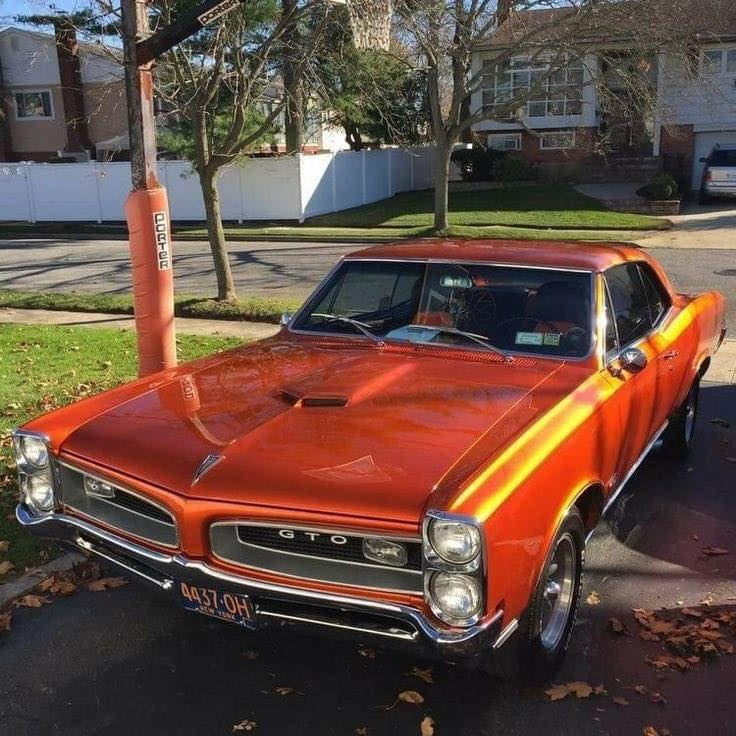 🏁 𝔹 ℝ 𝕀 𝔸 ℕ 🏁 tweet media