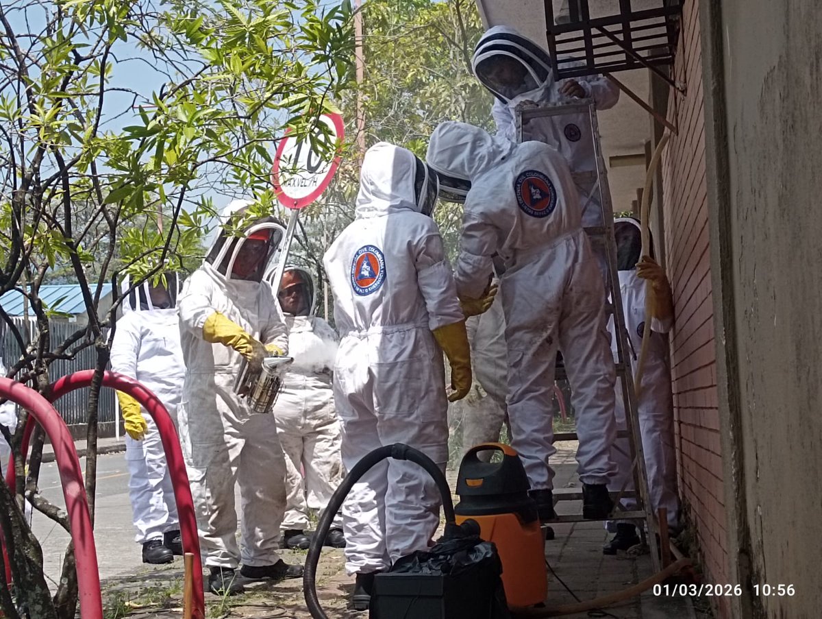 Fortalecemos nuestra presencia en los  territorios. 🇨🇴 

✅ 28 voluntarios de la <a href="/DefensaCivilCo/">DefensaCivilColombia</a> en #Meta y #Vichada se certificaron en manejo de ofidios y control de abejas

​Garantizamos una atención profesional y segura para la comunidad. 🐝🐍💪
​#ListosEnPazOEmergencia🧡