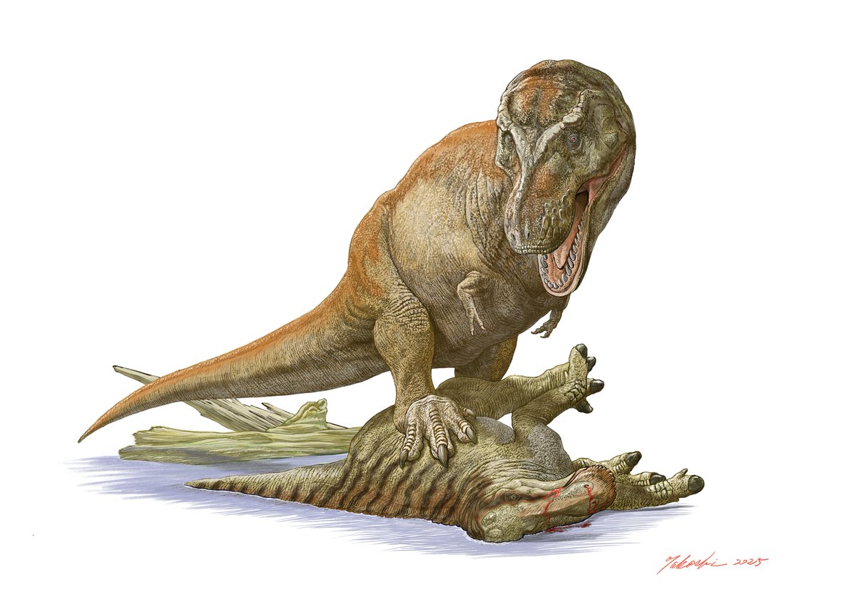 小田　隆　Oda Takashi tweet media