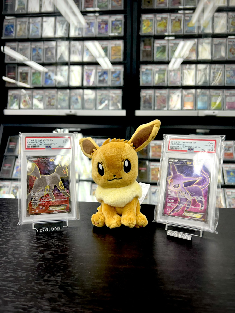 ✨商品紹介✨】 トレカキャンプは本日も10:00オープン☀️ イーブイが