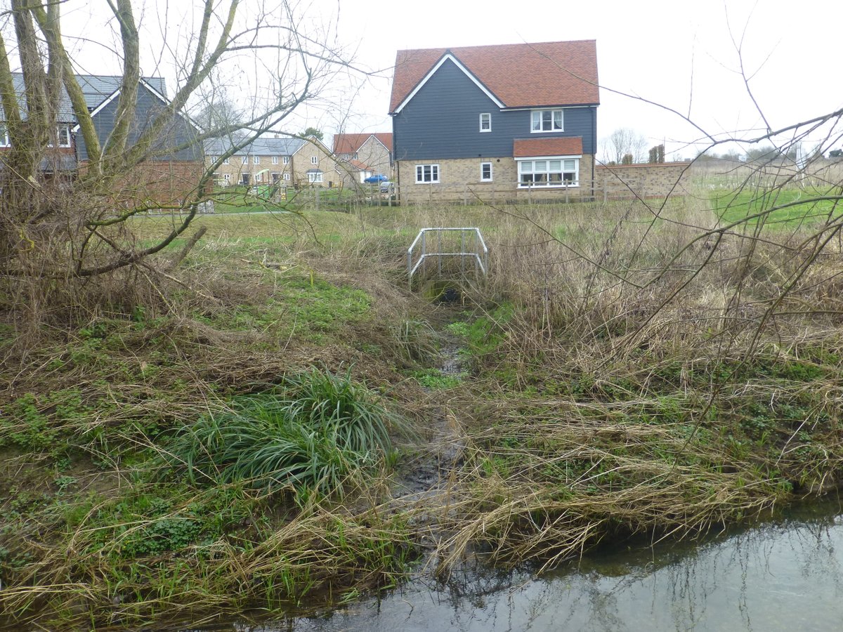 Friends of the River Granta ,FROG tweet media