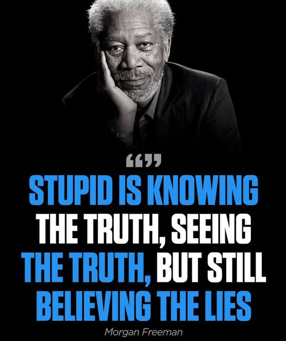 Mindful Maven tweet media