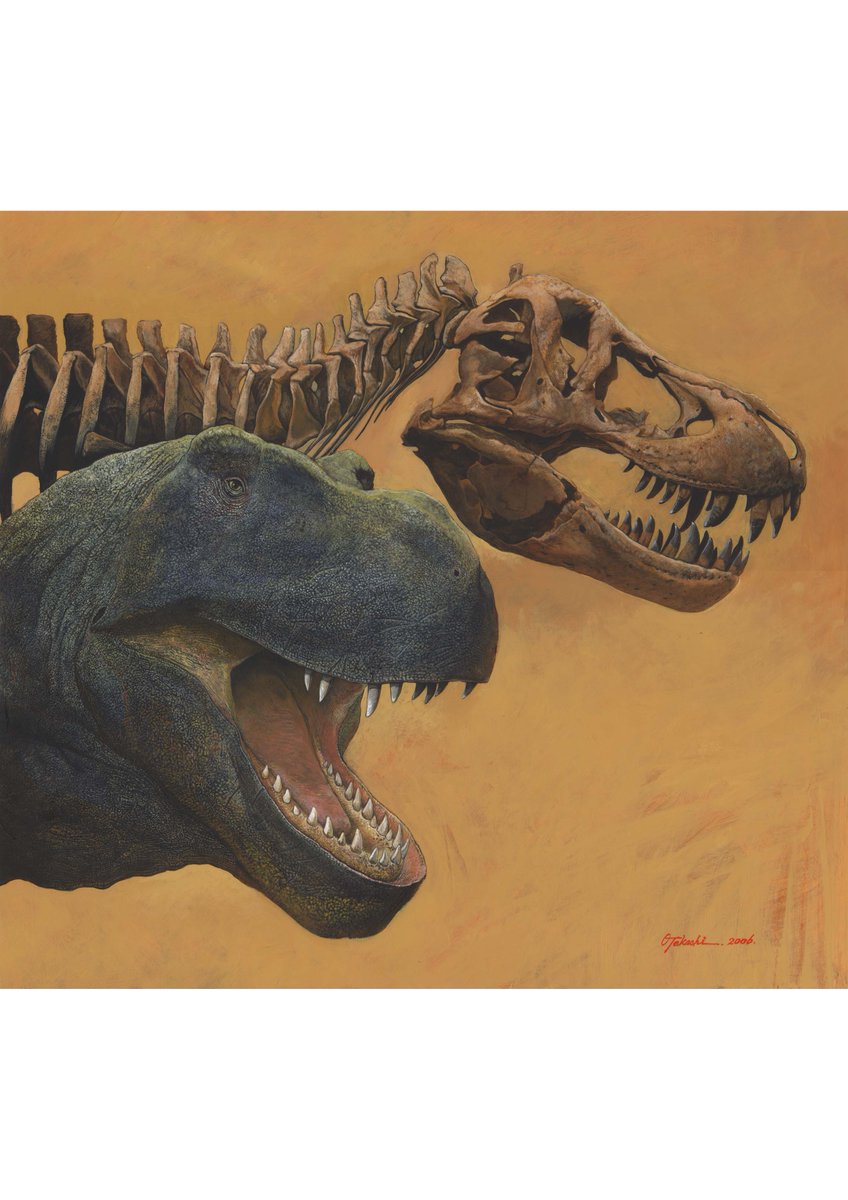 小田　隆　Oda Takashi tweet media