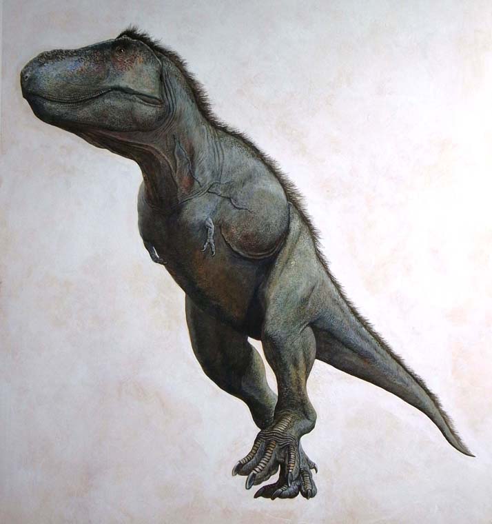 小田　隆　Oda Takashi tweet media