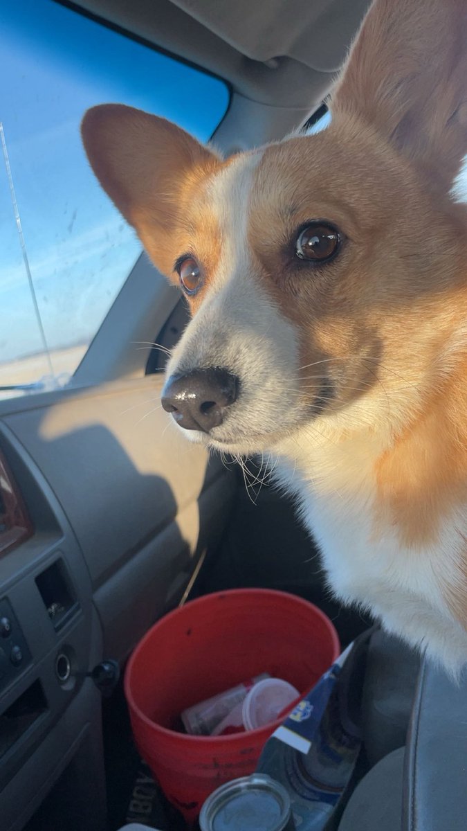 ~605~ ShittalkerFFS tweet media