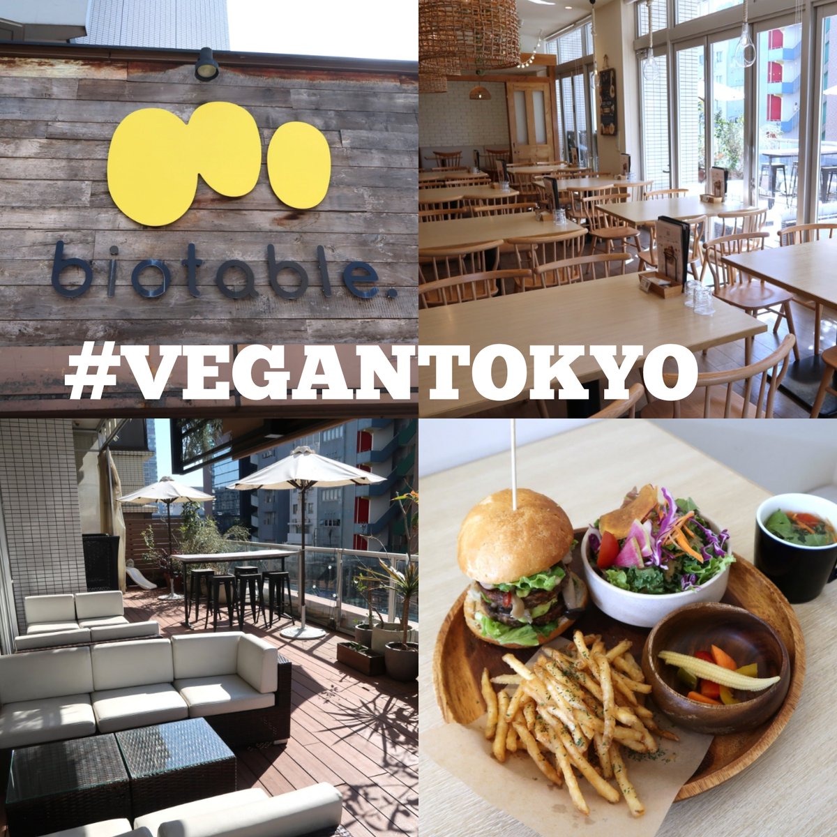 マクロビマウス tweet media