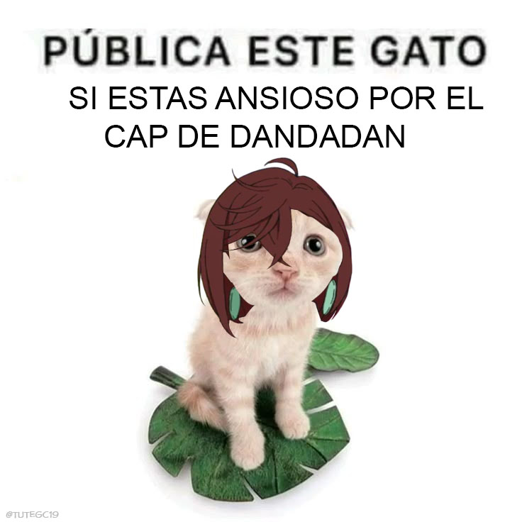 DandadanES's tweet photo. En 40 minutos tenemos nuevo cap de DANDADAN!
#Dandadan #ダンダ https://t.co/LycomRC0wl