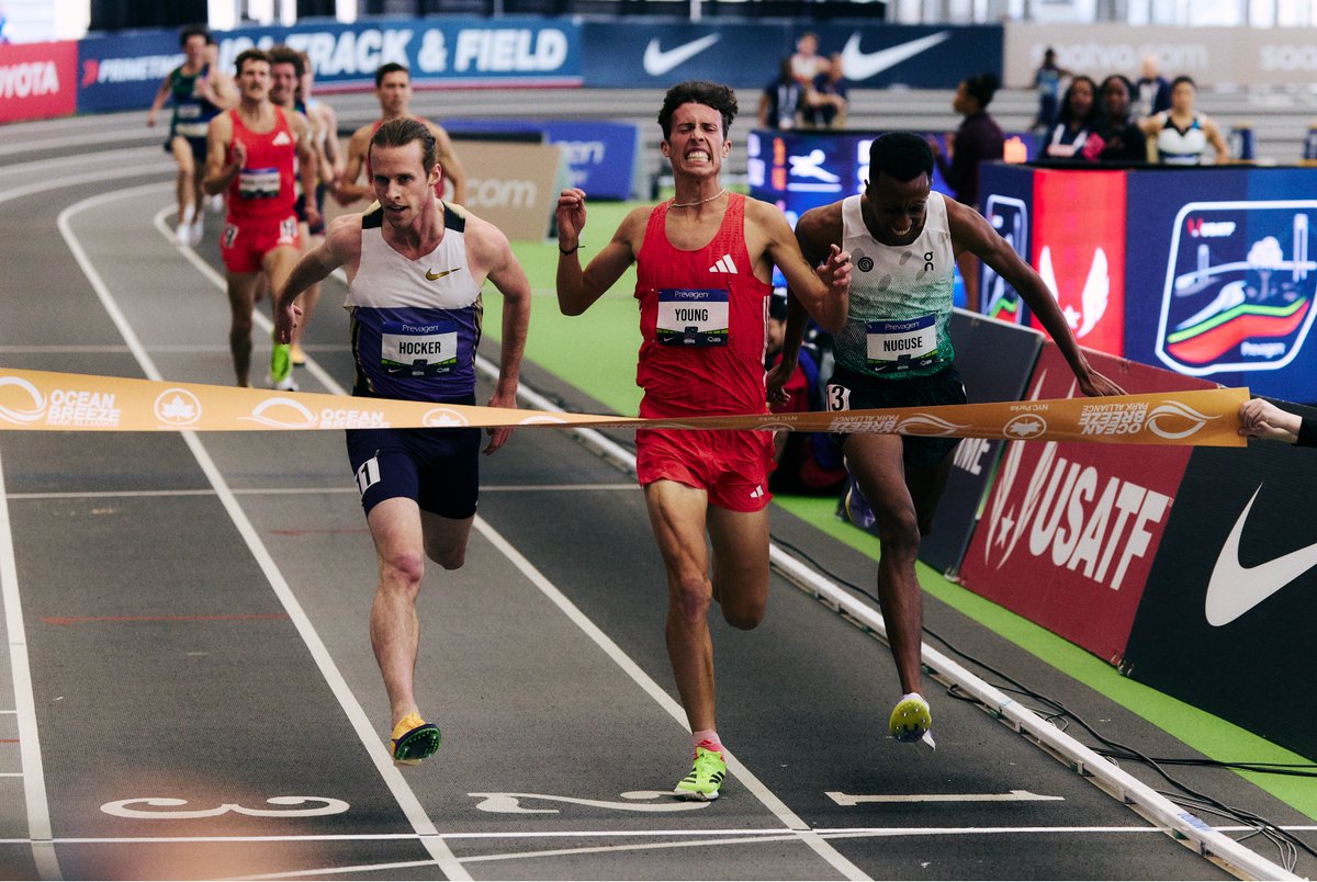 Joe Hale tweet media