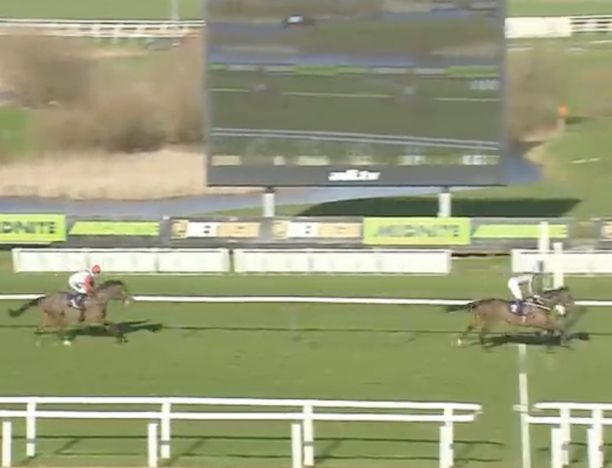 My Racing Tips tweet media