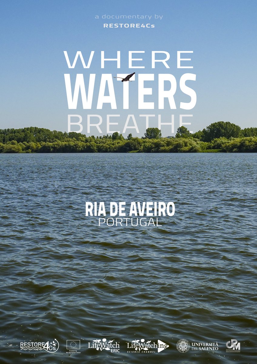 RESTORE4Cs tweet media