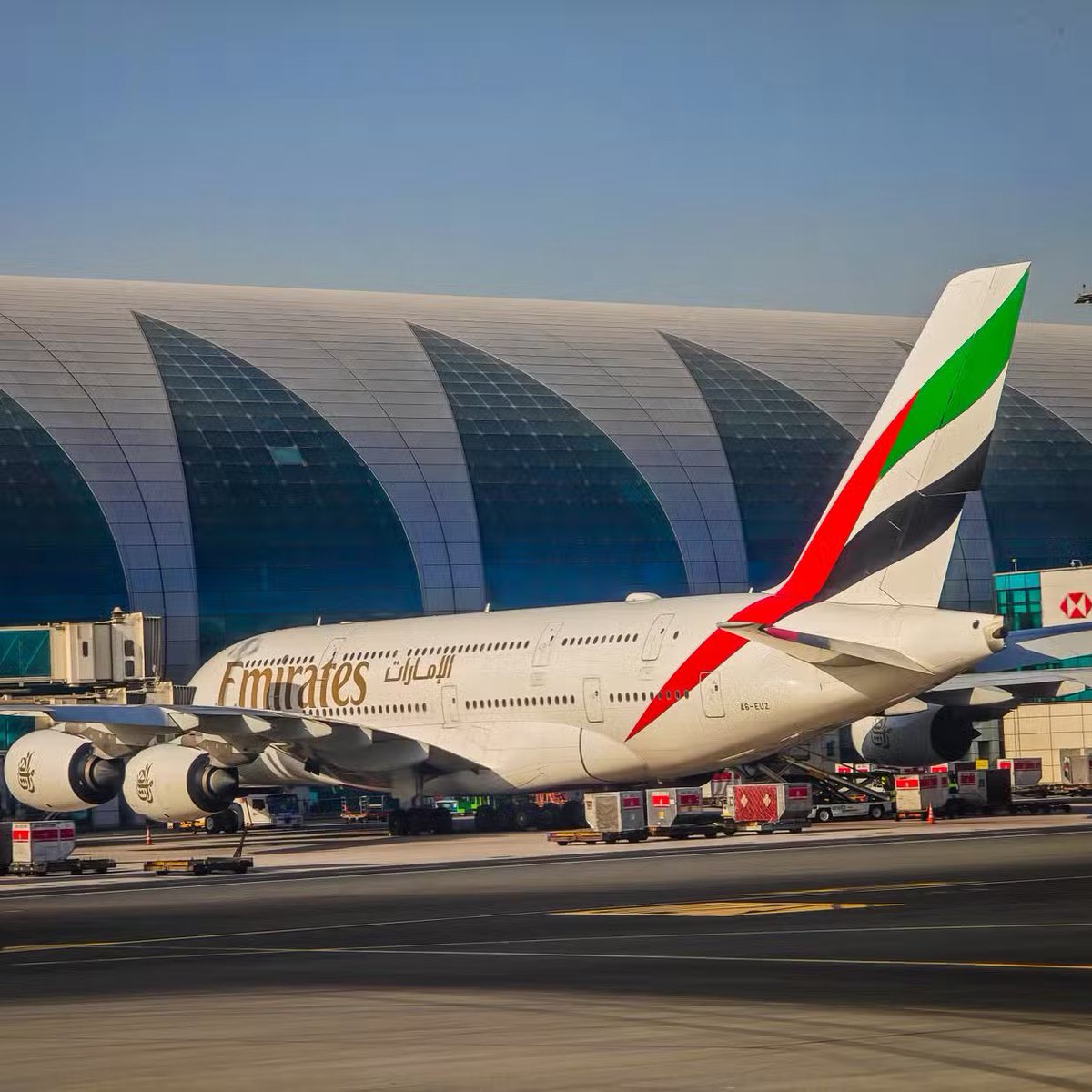 Whale Insider tweet media