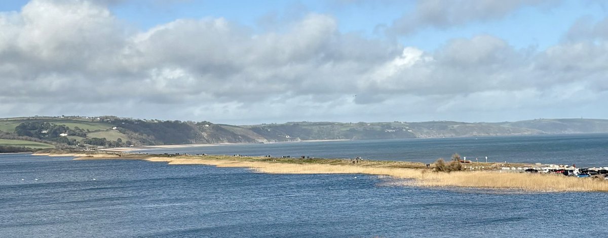 Start Bay Inn tweet media