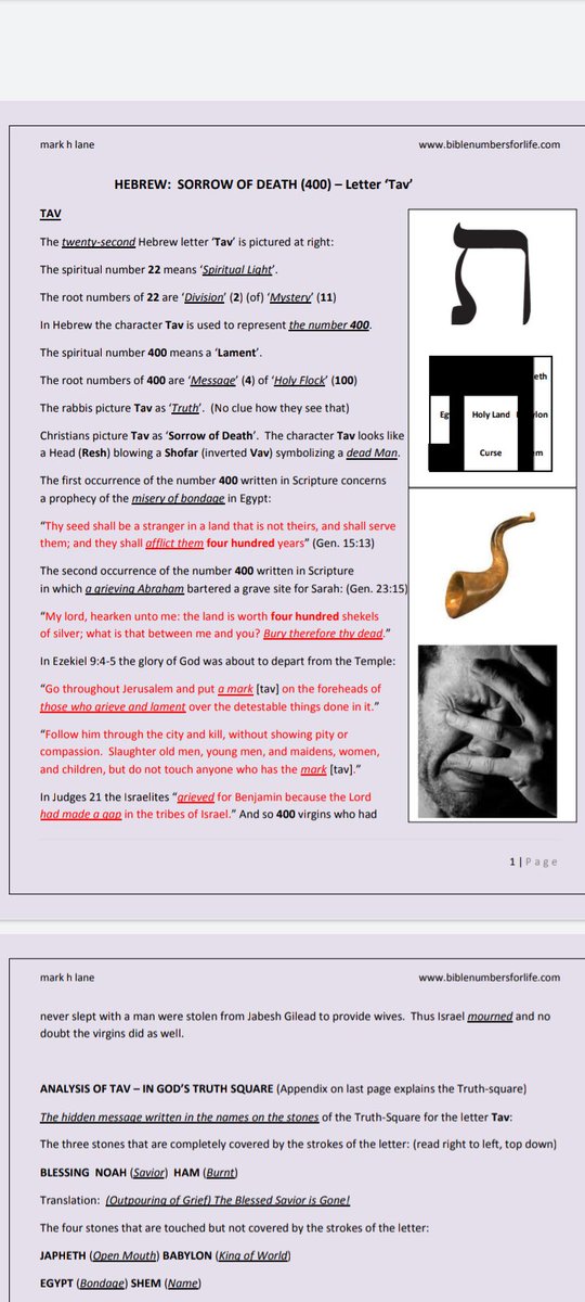 AndrewZentz's tweet photo. @realitymayhurt @BenHopper @shanaka86 What r you going to do when you find out bibi is an epstein amalekite he accused the hamas Palestinians of being? Or maybe u already know🤔. 👿 epstein is the rothschilds and other luciferian families' butler and trump and bibi are their foremen. Your prIde is retarded. J3:16-21 https://t.co/vdS1hTetzc