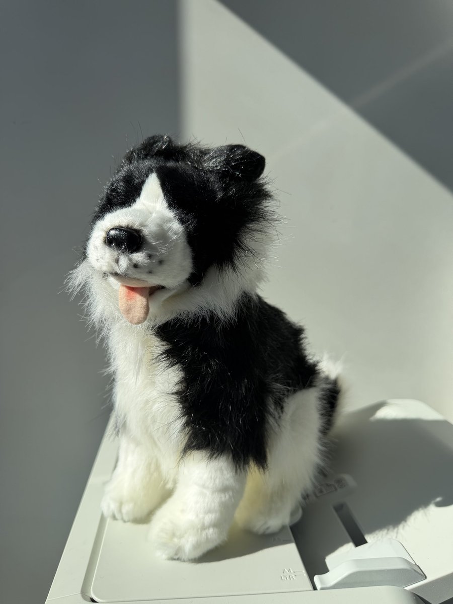 Eine kleine Dickmadam(e) tweet media