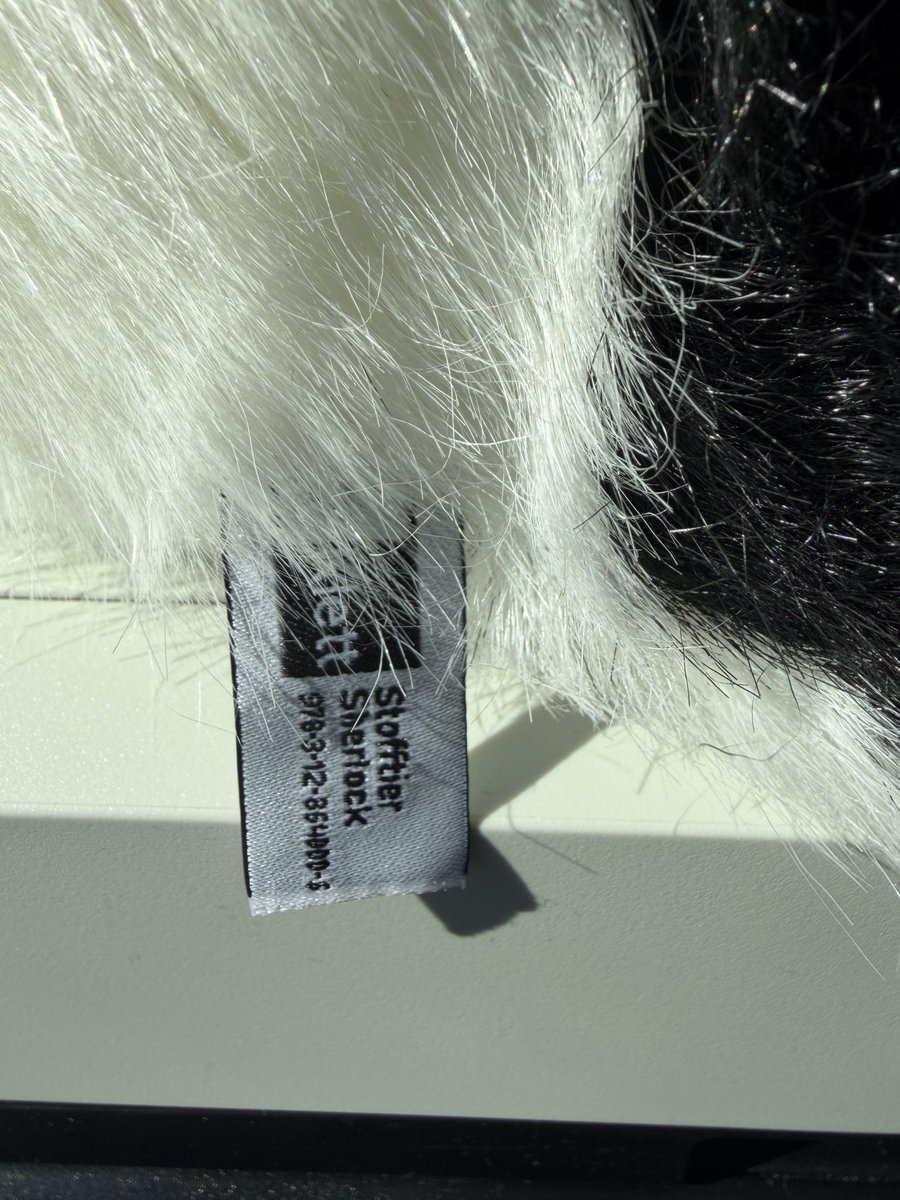 Eine kleine Dickmadam(e) tweet media