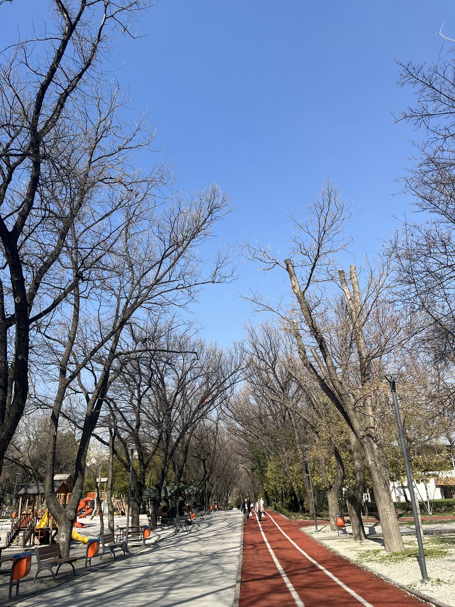 selin⋆˚꩜｡✧⋆ tweet media