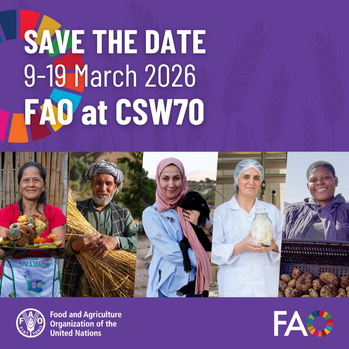 FAO in New York tweet media