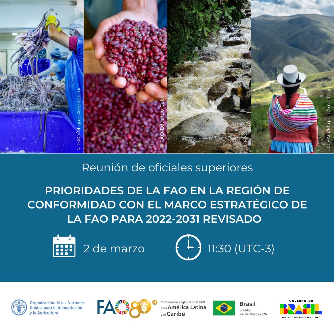 FAOAmericas's tweet photo. 📢🔴 ¡AHORA!

Inicia el debate sobre el futuro de nuestra región en la #ConferenciaFAOAméricas.

Analizamos las prioridades 2026-27 y el Marco Estratégico 2022-2031 de la @FAO. Un diálogo clave con gobiernos y diversos sectores por ALC. 🤝

Sé parte ➡️ https://t.co/XBfwnBWFB6 https://t.co/FpSthhV3z2