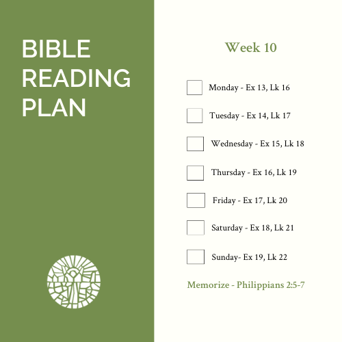 Fairview Baptist Church tweet media