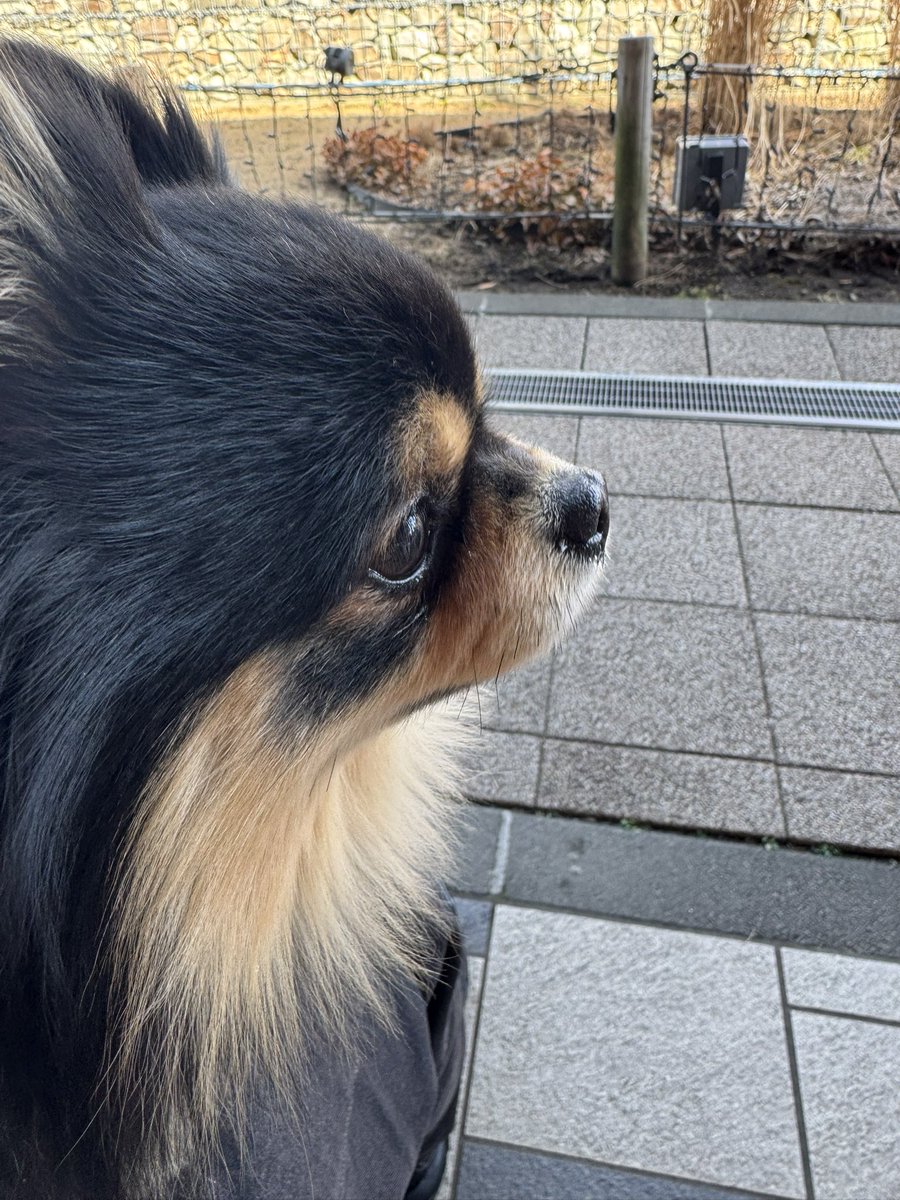 一緒に軽井沢行ったね