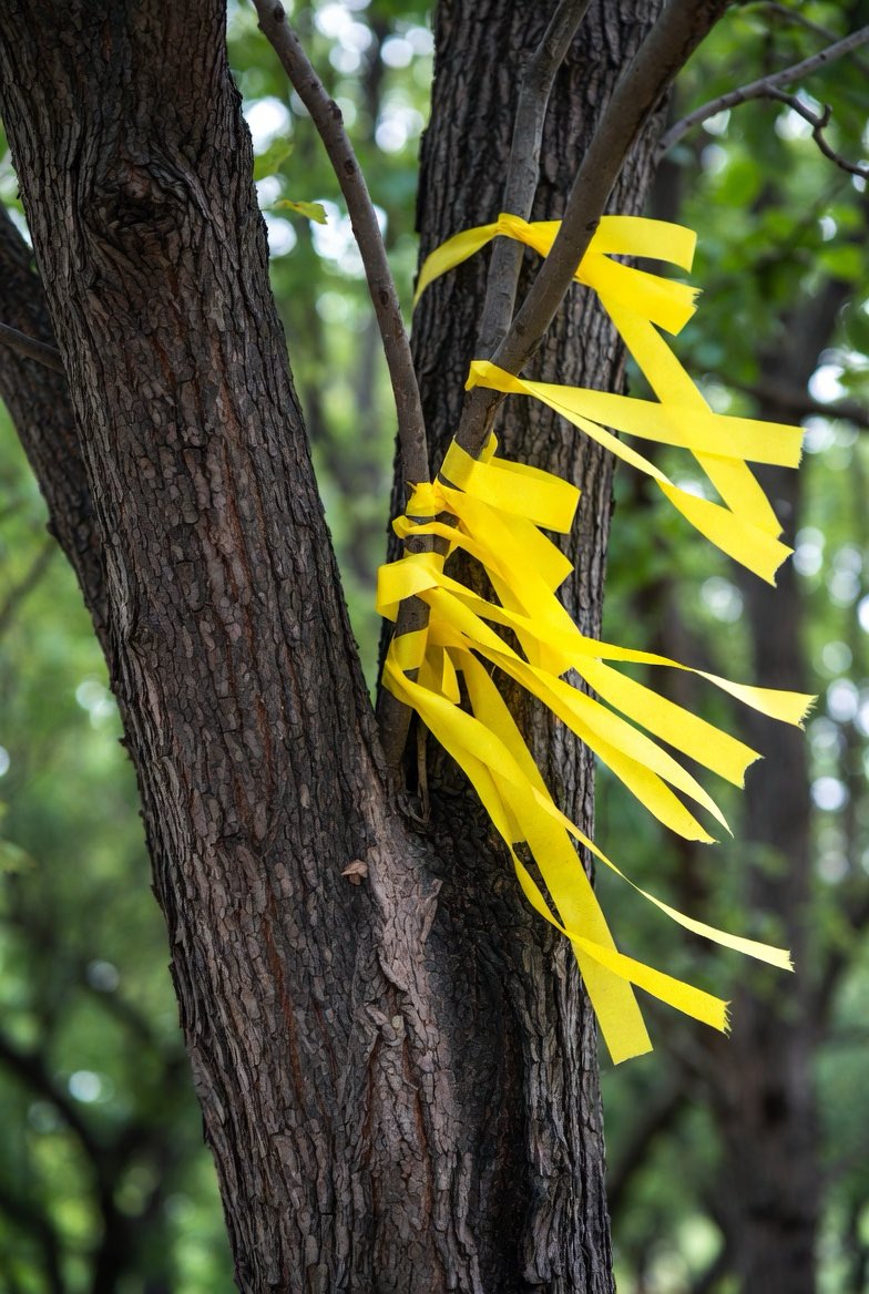 ImagineThis704's tweet image. …at this place in #history…again.🥺
⏳⏳🎗️🎗️🌳🌳🙏🏽🙌🏽🫶🏽☮️🫴🏾
#MondayMorning #MindfulMarch 
🎤🎶 #dawn 
youtu.be/Z8fhciUojQ0