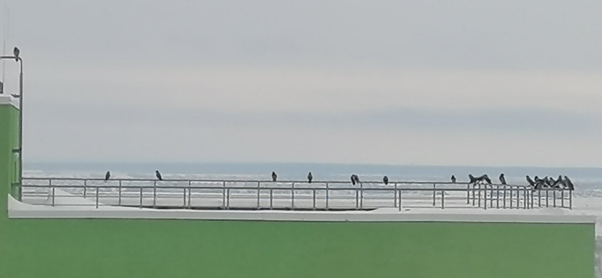 Курсовая "Социальная иерархия как эффект коммуникации при локальном изменении сезонов"