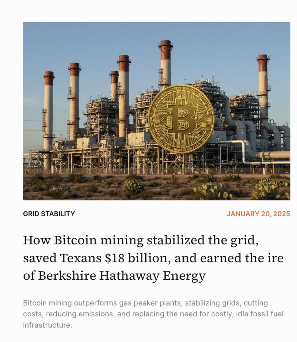 Daniel Batten tweet media