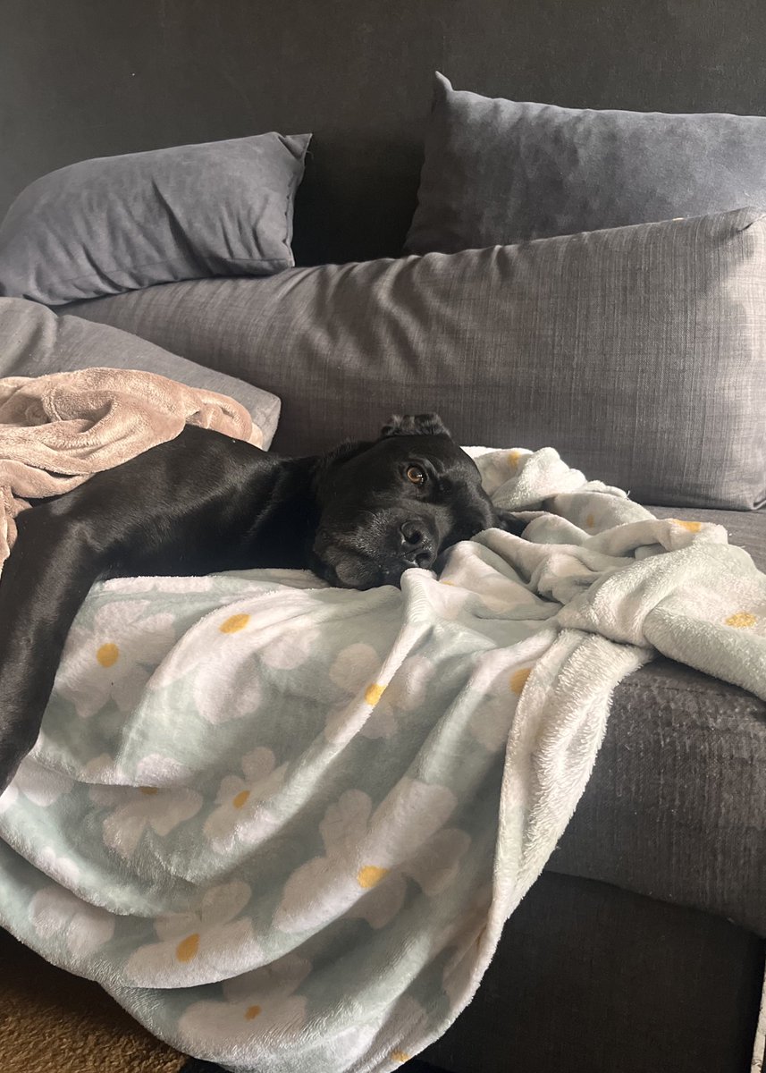 Oke’liwa 🌙 (@okeilie) on Twitter photo 