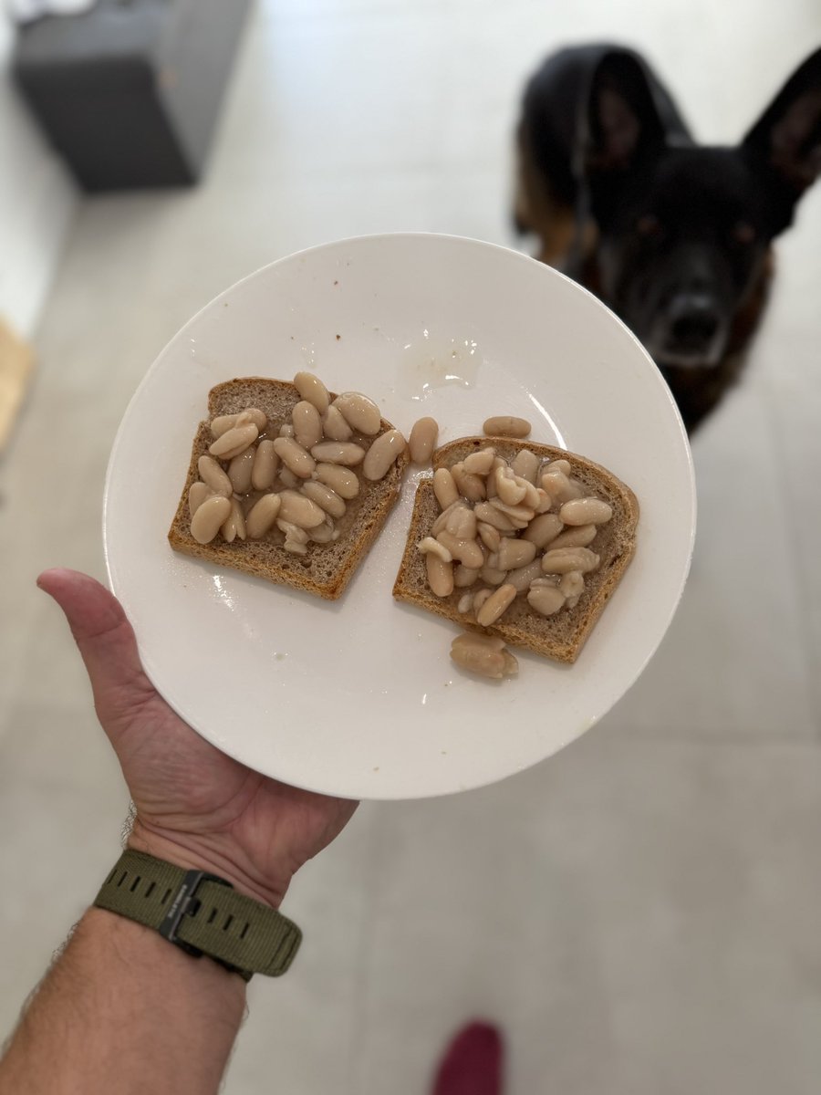 Thor Torrens tweet media