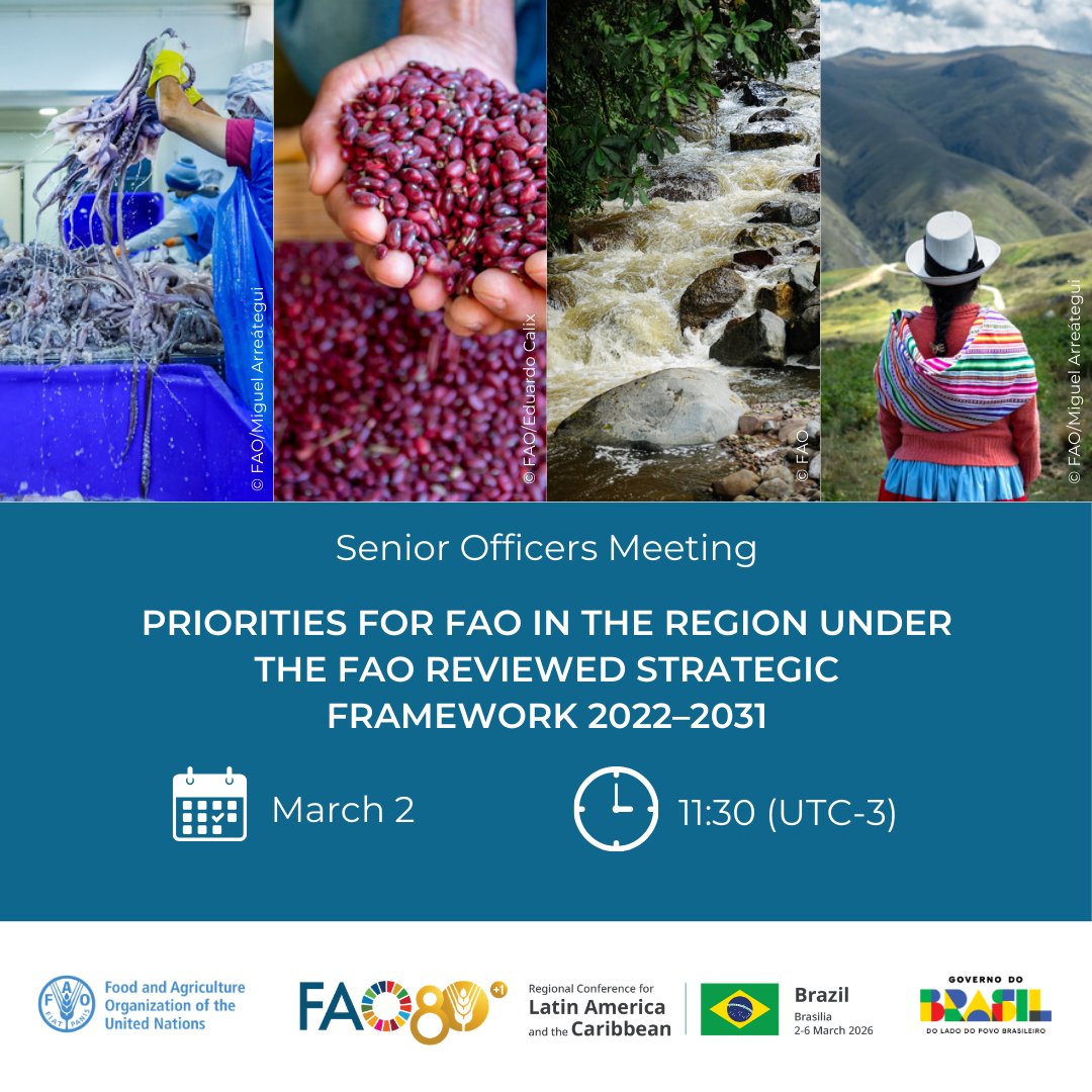 FAO in the Caribbean tweet media