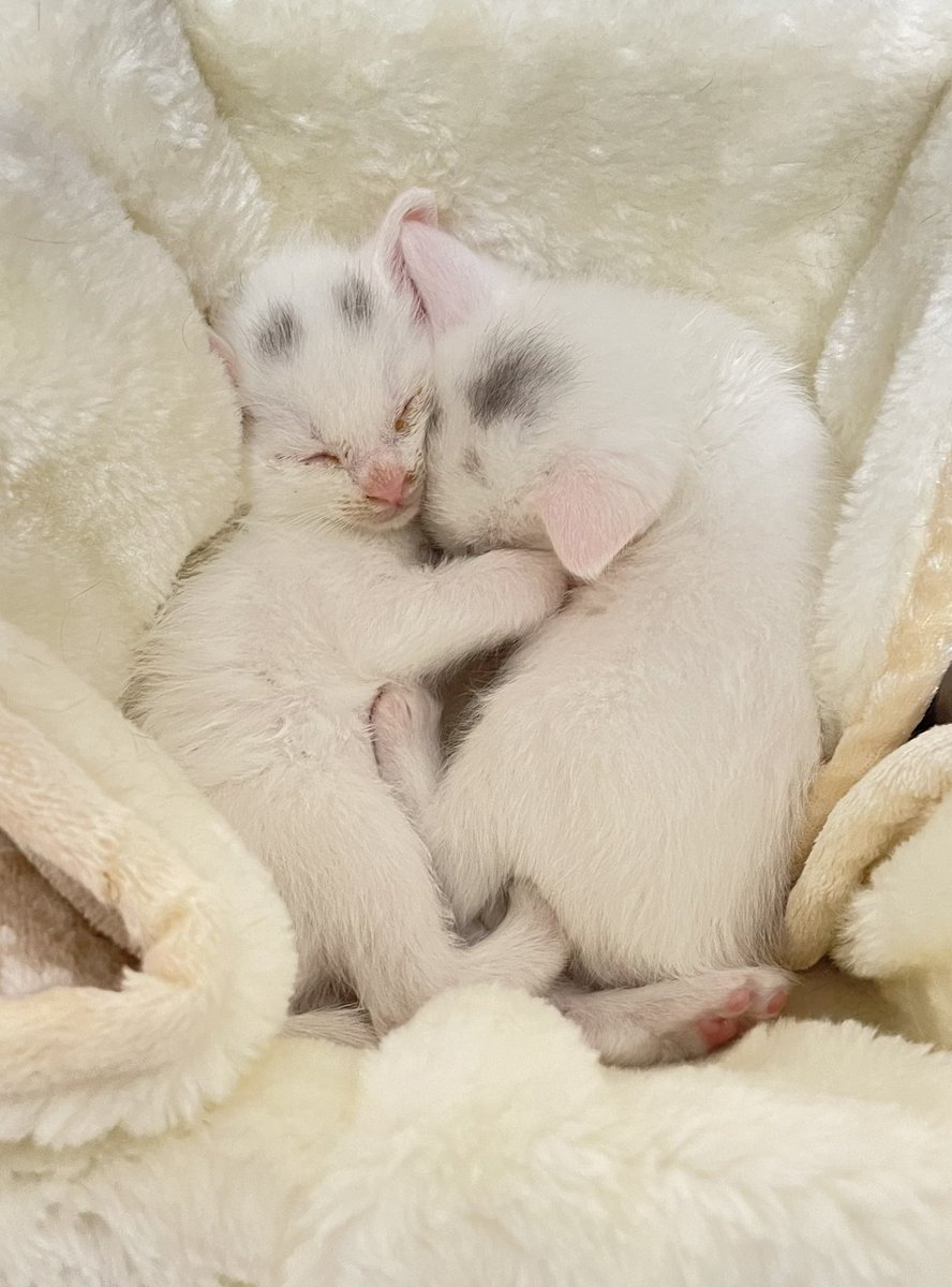 メグミ (@ep656t) / Posts / X