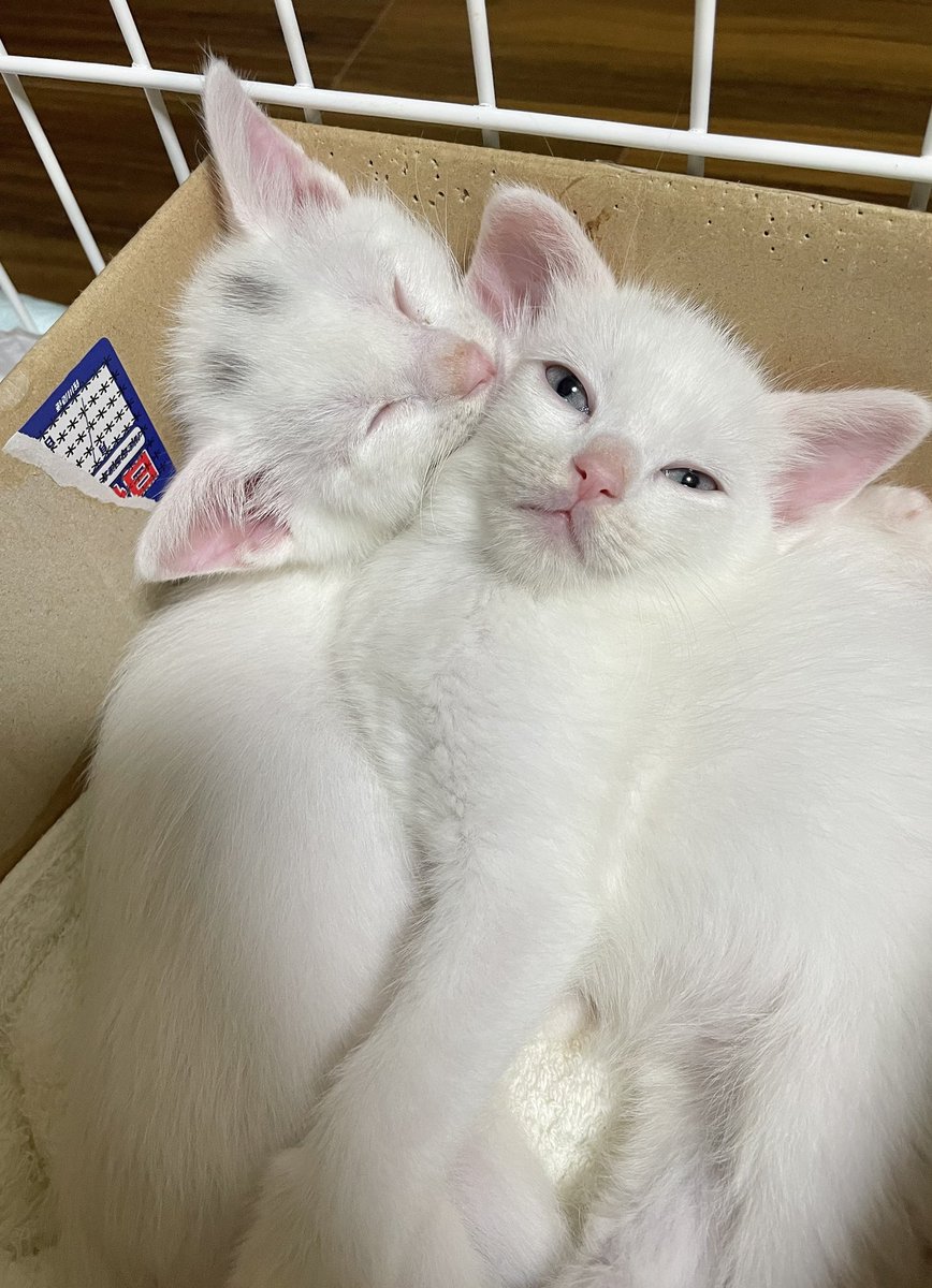 メグミ (@ep656t) / Posts / X