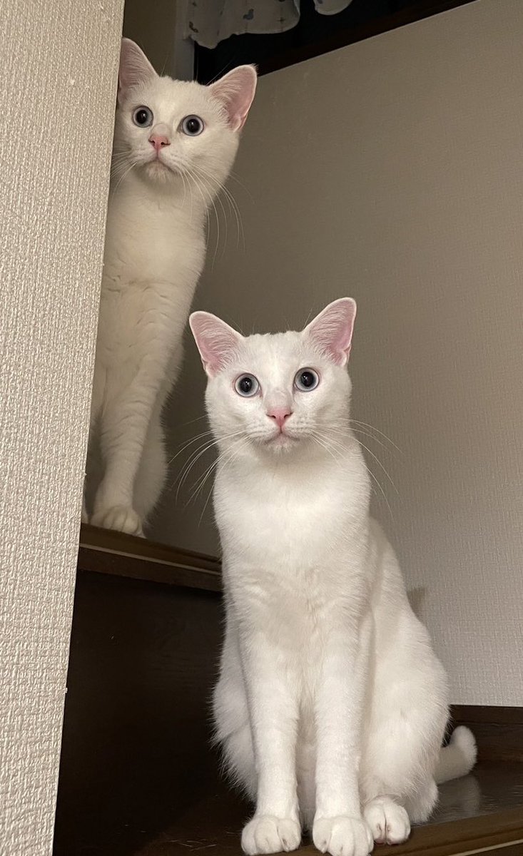 メグミ (@ep656t) / Posts / X