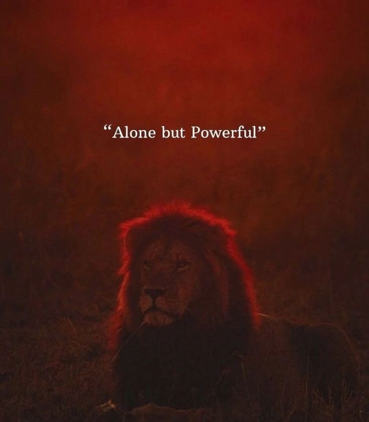 Leon (@mindmattermoney) on Twitter photo 