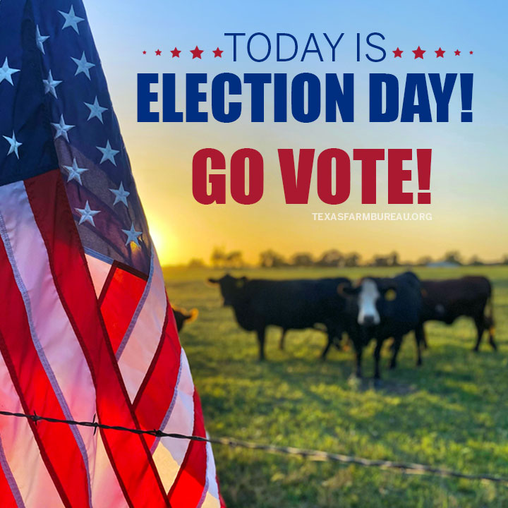 TexasFarmBureau's tweet photo. Today’s #ElectionDay. Exercise your right to vote! https://t.co/h7slHnPM8J
