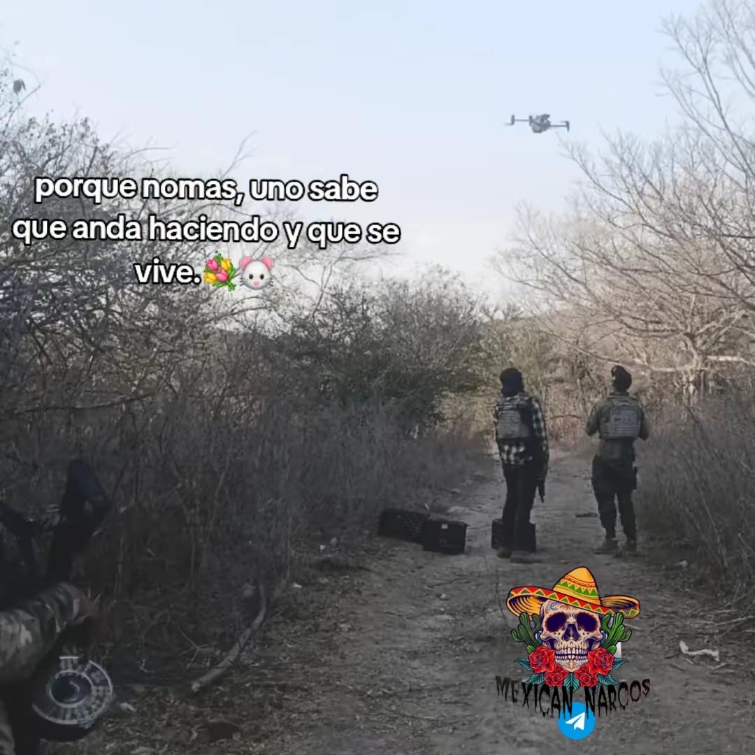 mexicannarcos's tweet image. 💐🐓Members of  Gente Del Jardinero of the CJNG launch a drone somewhere in Nayarit💐🐓. 
Hashtags: #Nayarit #CJNG #cartels #drones #Mexico