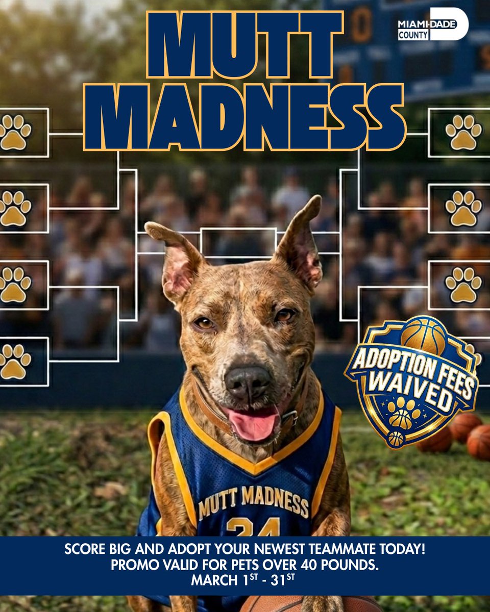 Miami-Dade County Animal Services tweet media