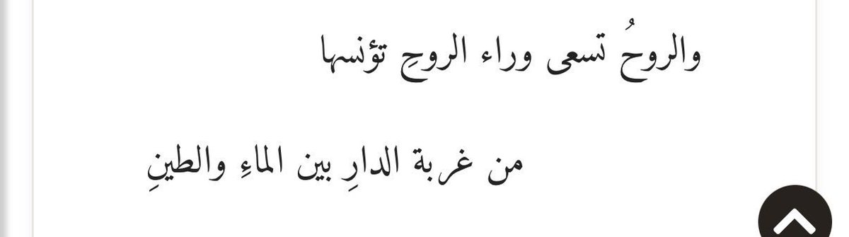 Shades (@wykykit2g) on Twitter photo 