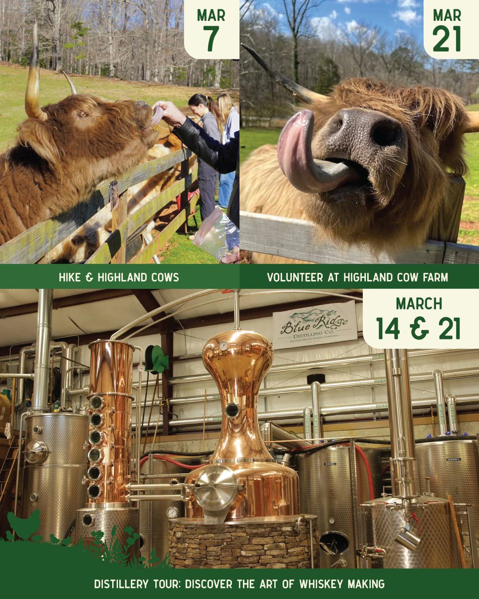 Visit NC Small Towns tweet media