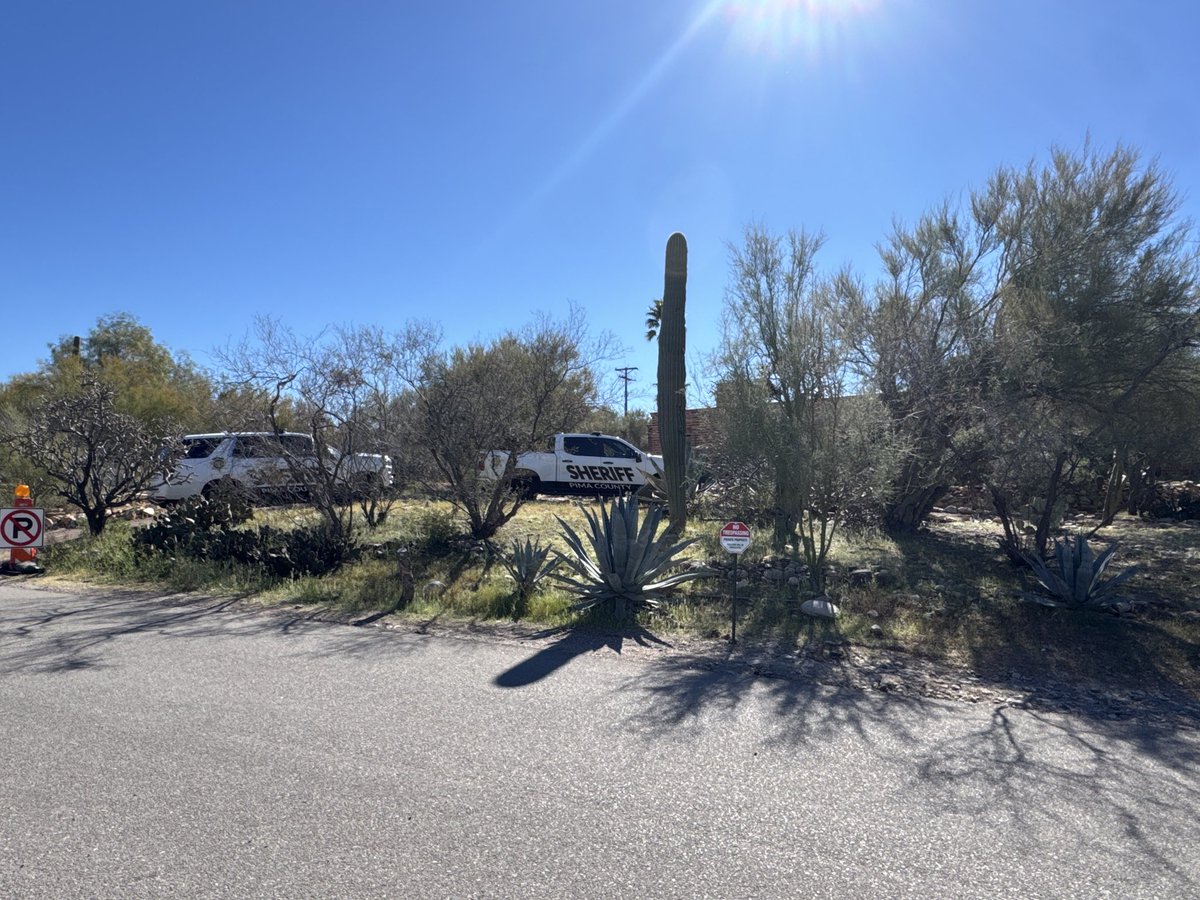 Mills Hayes tweet media