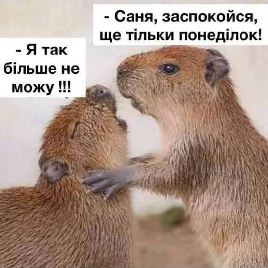 123gena1472's tweet photo. Ну з понеділком https://t.co/UPY3wrLx2Q