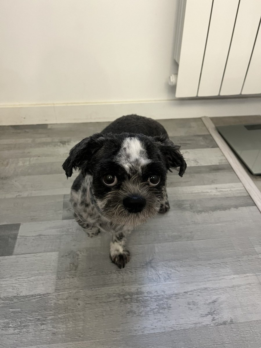 털둔둔이 봄맞이 알몸되다