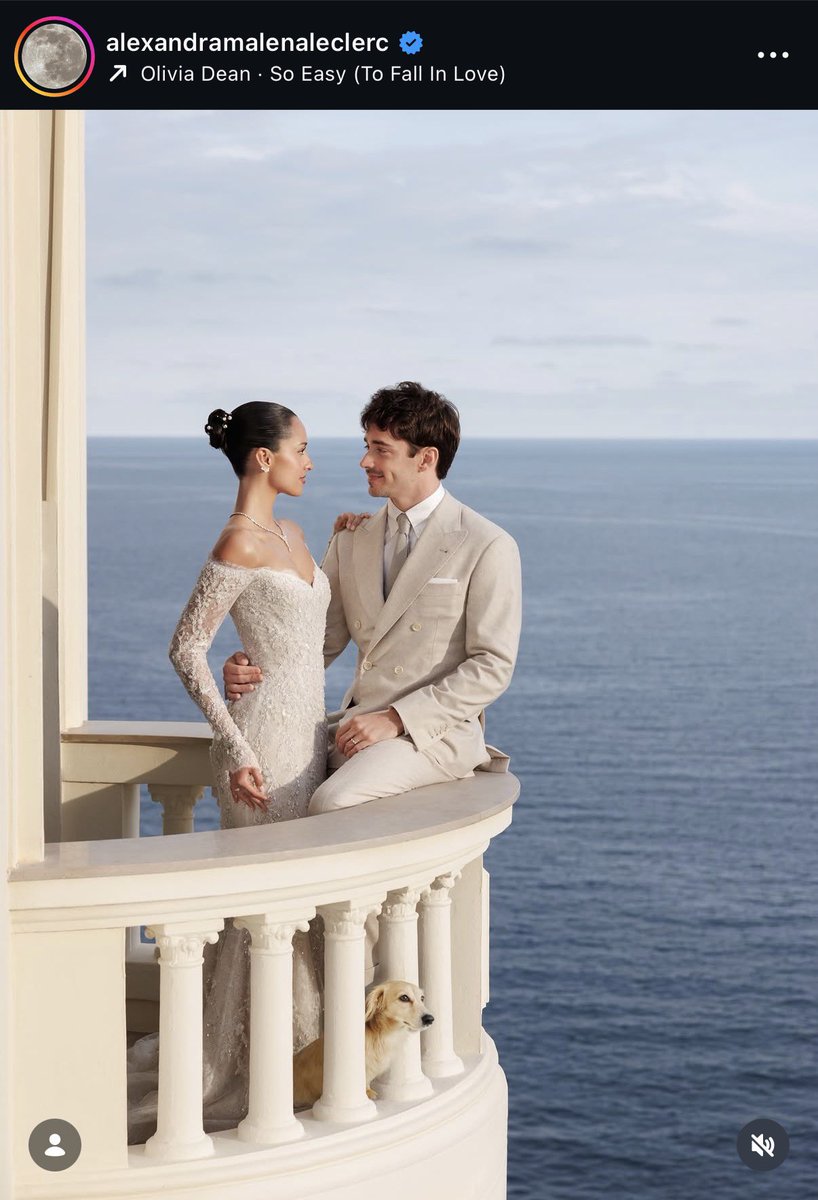 kinia ⋆.˚⟡ ࣪ ˖ will see benito tweet media