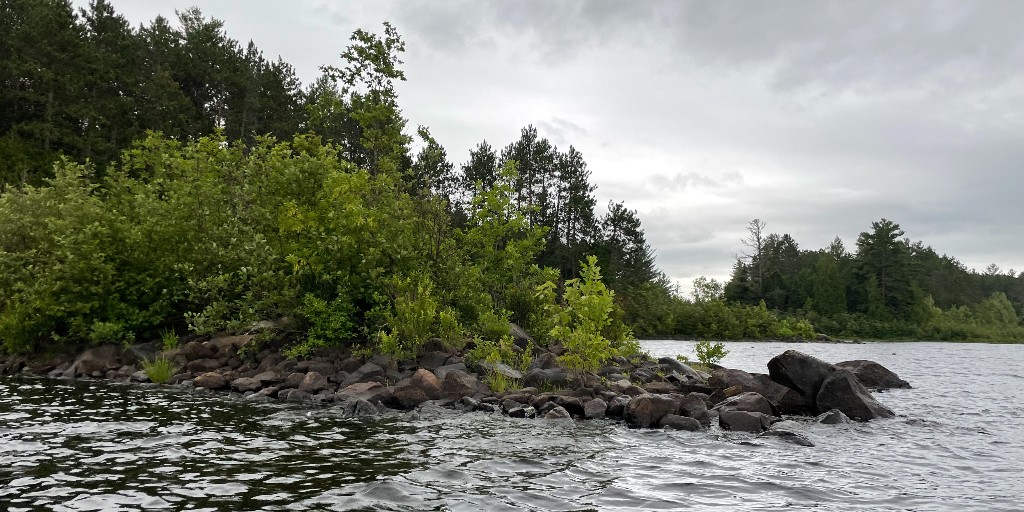 Algonquin Provincial Park tweet media