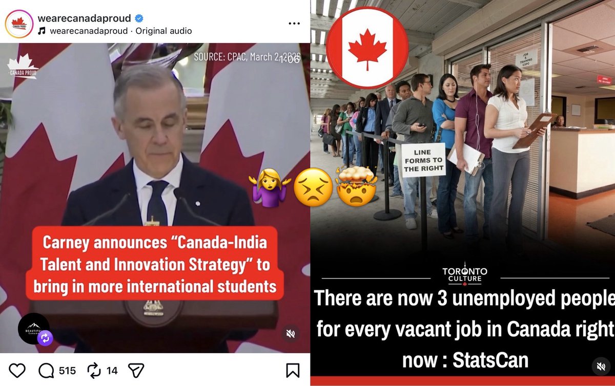 Liberals: Decimate the economy, destroy employment opportunities.

Also Liberals: Better bring more international students so they’ll vote for us 🤯🙄

Who loses: Our country, our kids, our grandkids.