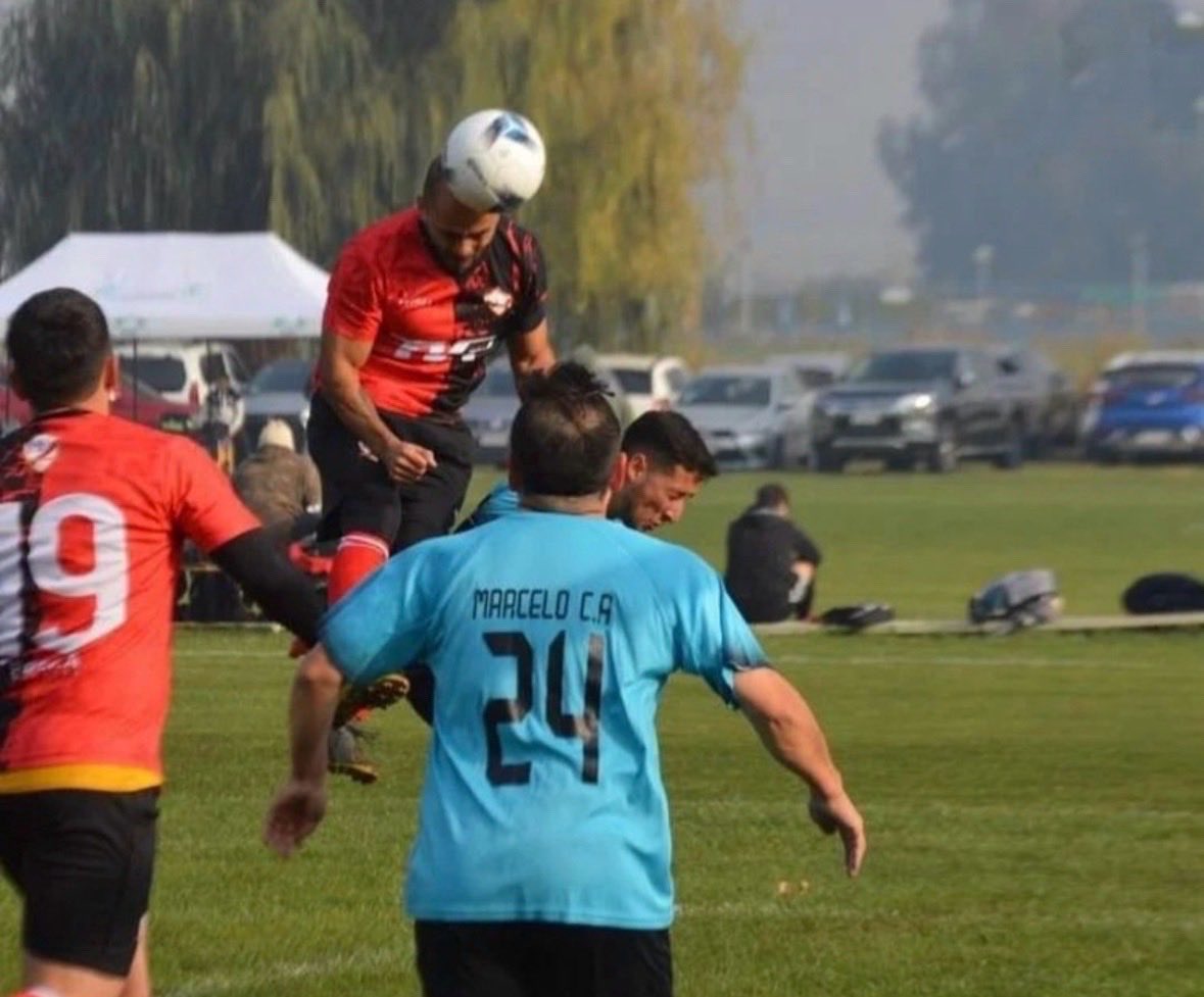 Lucerista tweet media