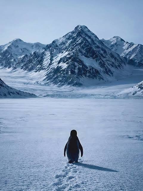 GhostShade tweet media