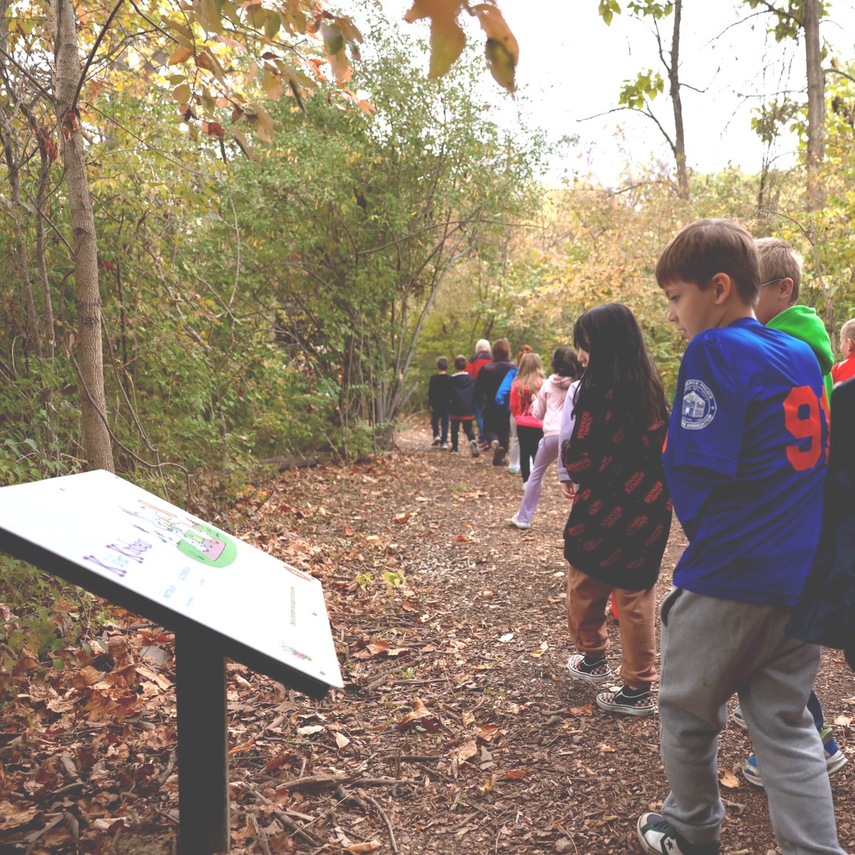 OHStateParks's tweet image. Oh, the stories you’ll stroll and the pages you’ll see 📚🌳

Celebrate #ReadAcrossAmericaDay on one of the 22 Storybook Trails at your Ohio state parks — where you read new pages as you walk!

Find a trail near you: ohiodnr.gov/go-and-do/fami…

@ohiodnr @ohheartofitall
