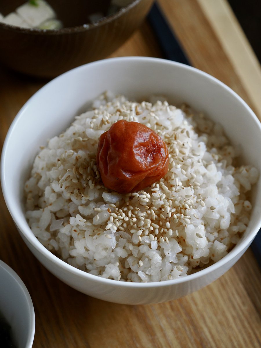 ヒルトル・フィリップ太郎 (@philitaro) / Posts / X