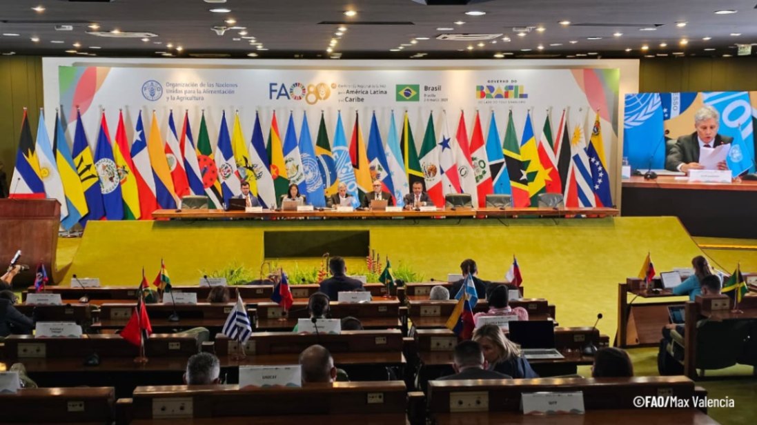 Rene Orellana Halkyer tweet media